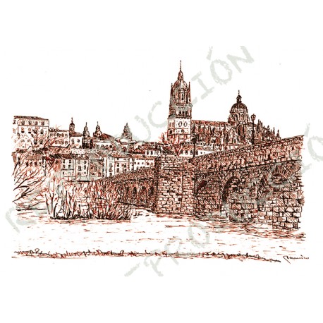 Catedral y Puente Romano.  Salamanca